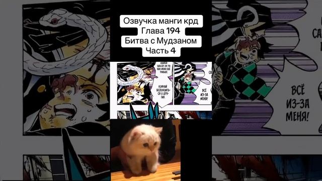 #anime #memes #mitsurikanjori #cat #mitsurikanroji #jjba #demonslayermitsuri #muzan #tanjiro #akaza смотреть онлайн