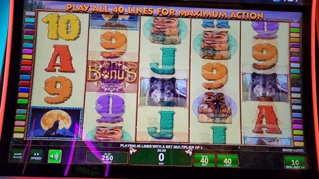 I played the Wolf Run machine with 40 cent bets and I won a couple bonus. смотреть онлайн