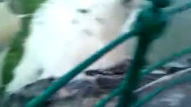 Kaup light house смотреть онлайн