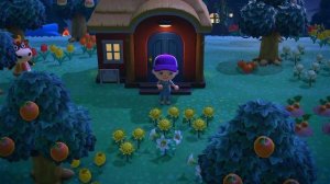 Nintendo Switch - Animal Crossing New Horizon - Episode 177