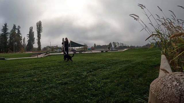 Charm - Drive to Toy, Skate Park смотреть онлайн