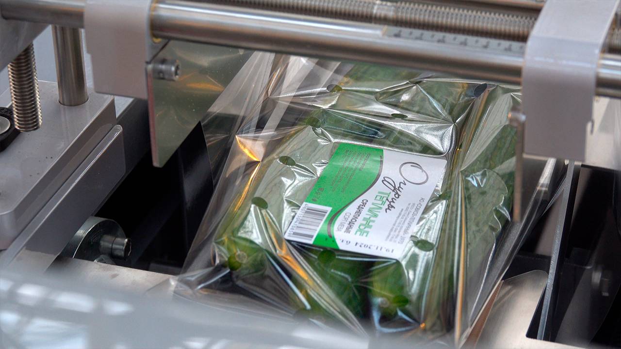 «Тепличный» приобрёл новую автоматическую линию упаковки продукции смотреть онлайн