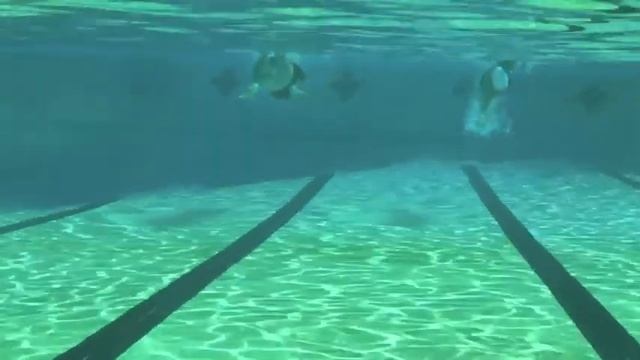 Tempo Trainer Sync Swim with Udo and Total Immersion Coach Maria смотреть онлайн