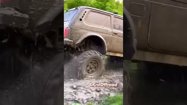 Турбо нива на кастомной трансмиссии и 35 колесах! #skrdoffroad #бездорожье #offroad #нива #4х4 смотреть онлайн