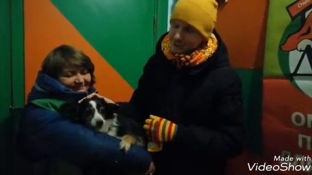 Обращение к омичам от Виталия Гиберта смотреть онлайн