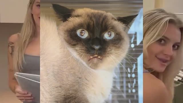 Чурчхе-корпоратив 2024