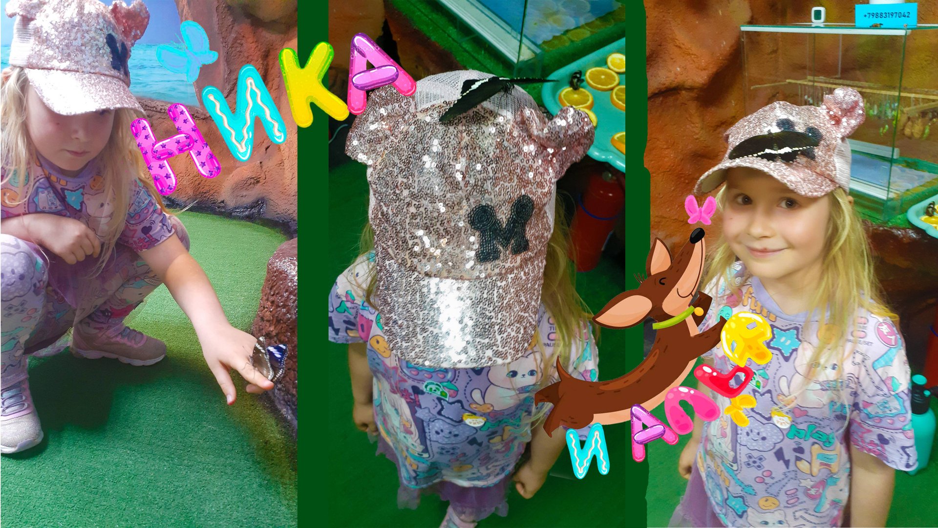 бабочкариум в Анапе смотреть онлайн