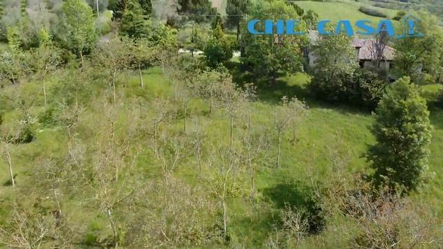 Podere Montefiore смотреть онлайн