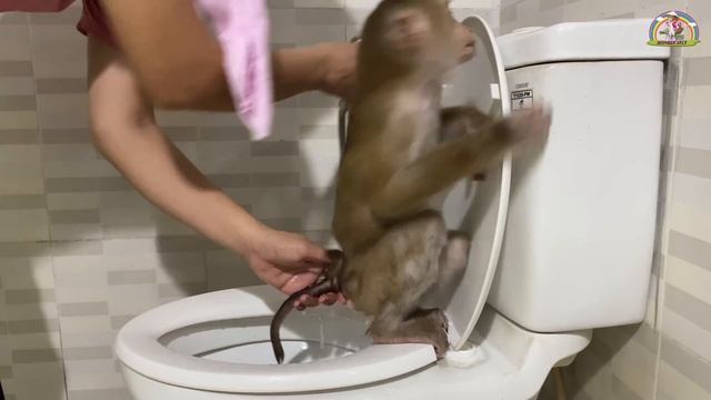 Monkey Lyly accidentally dirty the floor because she didn't wear shoes and the ending... смотреть онлайн