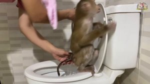 Monkey Lyly accidentally dirty the floor because she didn't wear shoes and the ending...