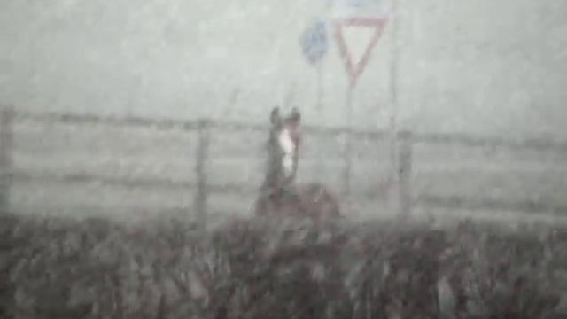 Bacchus (santano x Welt Hit||) in de sneeuw смотреть онлайн