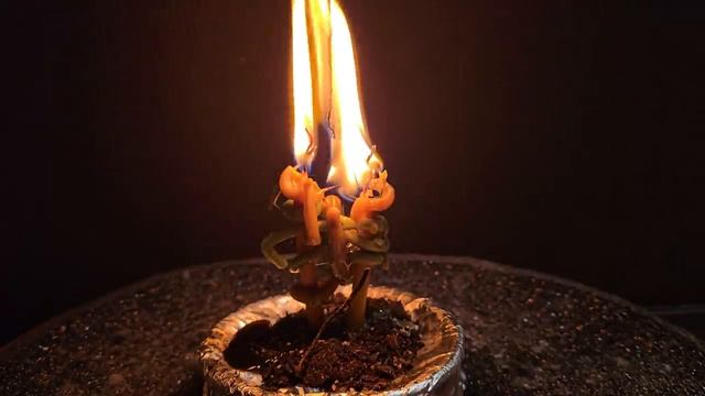 💯 Деньги потекут со всех сторон к Вам 🌕 Только до #полнолуния успейте сделать сделать ‼️ смотреть онлайн