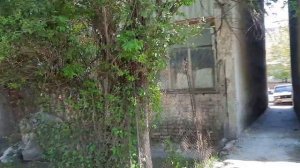 Город сулюкта