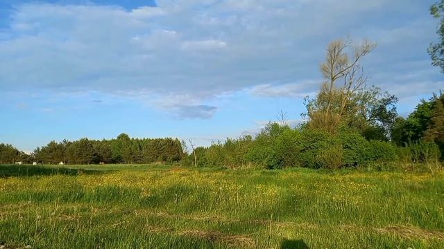 Majowa łąka.Krajobraz смотреть онлайн