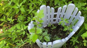 Доброе утро Страна !