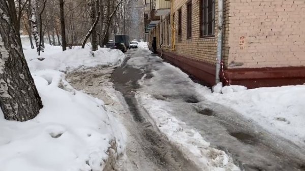 Я не шью, но ткани выбираю. В поликлинику за тридевять земель,10 марта 2024 г.