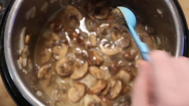 Instant Pot Best Ever Beef Stroganoff