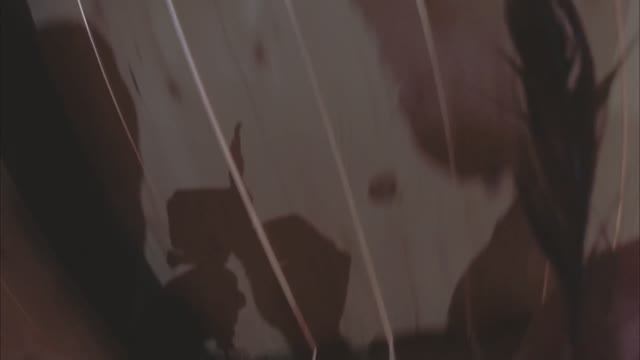 Птицы построили гнездо на бане смотреть онлайн