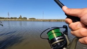 Рыбалка на флэт фидер активный клёв карпа осенью 2024