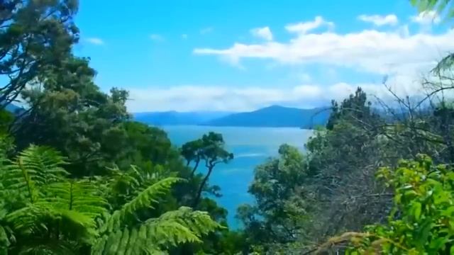 АФРИКА. РЕКА КОНГО ТАЙНЫ И ОТКРЫТИЯ!!! смотреть онлайн