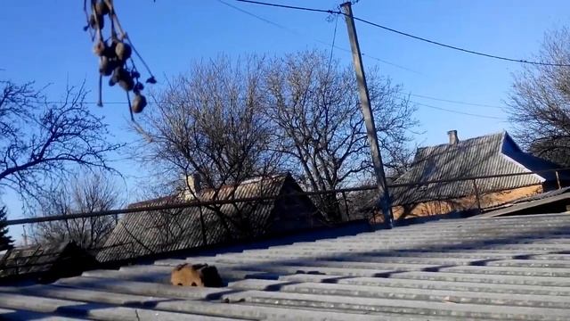 Не доброе утро от Украины смотреть онлайн