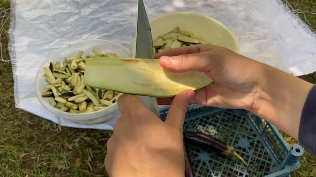 💯EN Pratik SAKLAMA Yöntemi PATLICANLARI İsteğin ŞEKİLDE KES Ve GÜNEŞE SER Bu KADAR kolay KIŞLIK смотреть онлайн
