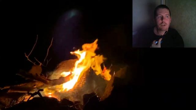 Жуткий вой в лесу смотреть онлайн