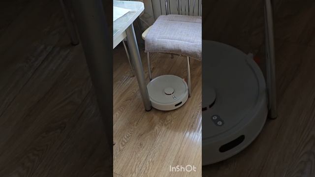 Новинка в доме! смотреть онлайн