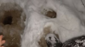 Первый налим на виб.