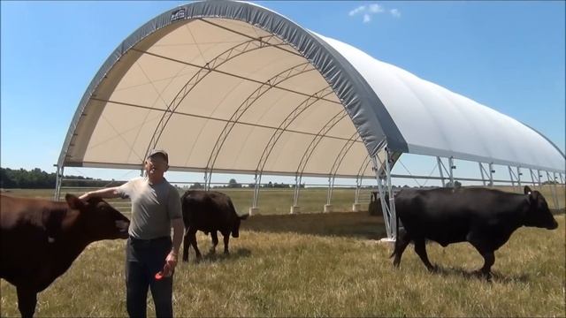 BRITESPAN - 52' x 98' Beef Shade Building - Gerald Cowan.wmv смотреть онлайн