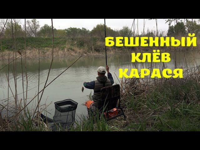 РЫБАЛКА НА УДОЧКУ БЕШЕННЫЙ КЛЁВ КАРАСЯ В КАНАЛЕ, КЛЁВ РЫБЫ смотреть онлайн