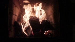 Читаем стихи / Ирина Самарина / Молодость и зрелость сели на скамейку . 31.03.2018