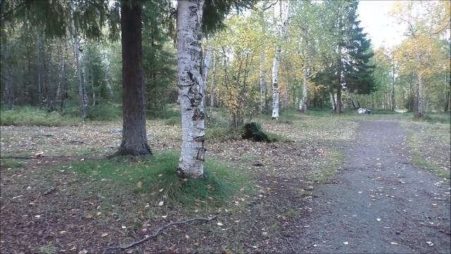 Мончегорск. Площадь, парк, белки, эксперимент. 14. 09. 23. смотреть онлайн