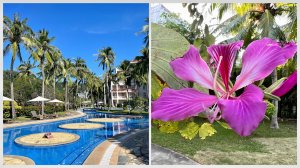 #18 Чем кормят на завтрак на Хайнане? Отель Golden Palm в Ялонг бэй. Красивый бассейн. Рынки еды