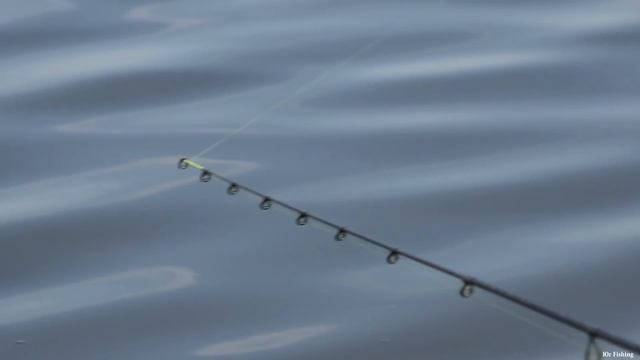 ЛОВЛЮ САМУЮ ВКУСНУЮ РЫБУ, НА ДИКАРЕ, РЫБАЛКА НА ФИДЕР смотреть онлайн