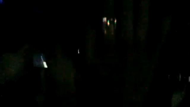 AVICII bercy - animals смотреть онлайн