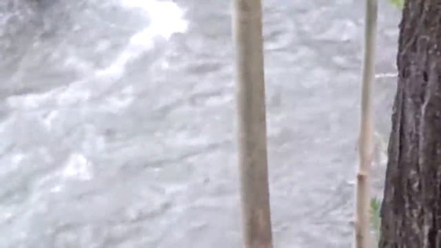 Шашлик журалар смотреть онлайн