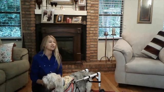 016 In The Dog House -- MIRACLE MEDICAL Dog Claudette: Rehabilitation of a Spinal Injury! смотреть онлайн