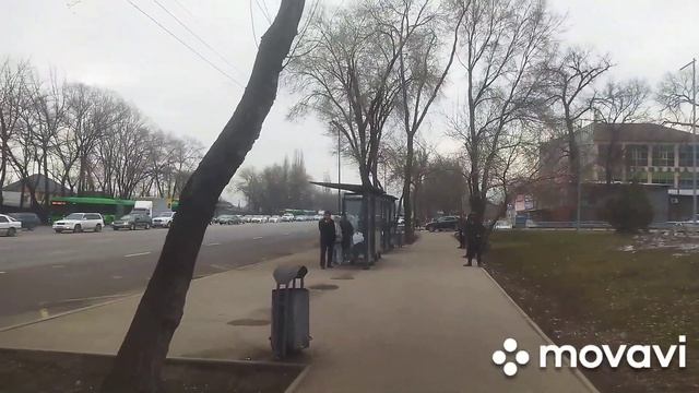 Алматы#серый#день#скамейка#подарки на 8 марта.