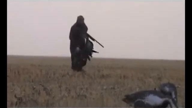 Охота начинается смотреть онлайн