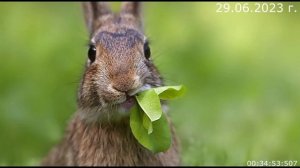 734 Объяснение кажущихся противоречий 29.06.2023 г