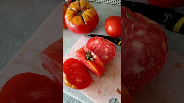 Беларуский, настоящий, САЛАТ ИЗ ПОМИДОР, Домашний, только Собственно Помидоры, Соль и Сметана!)) смотреть онлайн