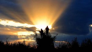 Розовый рассвет