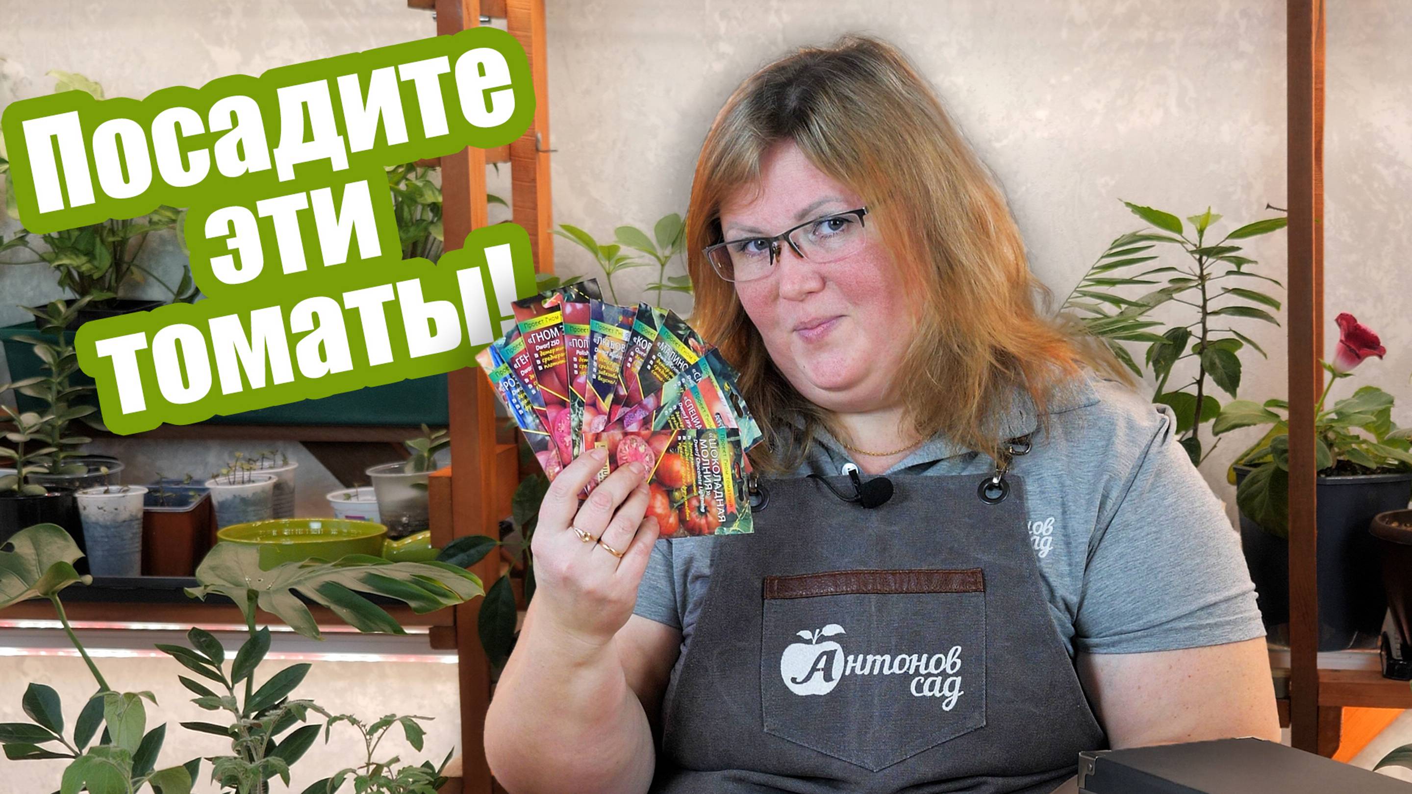 10 сортов томатов для теплиц и открытого грунта! Детерминантные сорта томатов смотреть онлайн