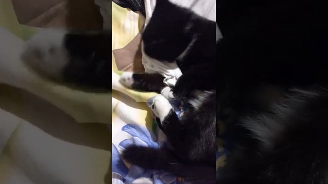 Феромонами одурманена 😄 смотреть онлайн
