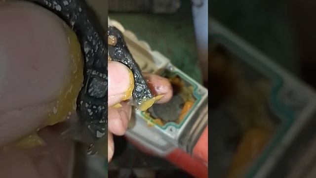 Вы всё ещё хотите купить китайский Patriot? #своимируками #ремонт #техника #инструмент смотреть онлайн