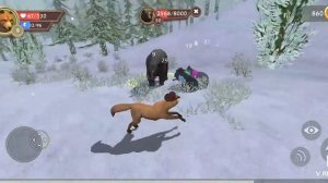 Wild craft как победить боса медведя🐻