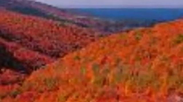 The Cottars_Here's to Song.mp4 смотреть онлайн