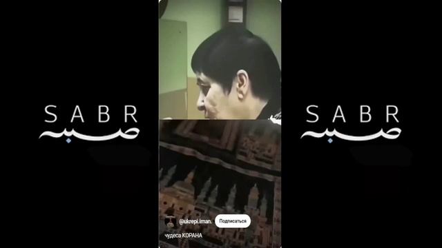 Чудо корана смотреть онлайн