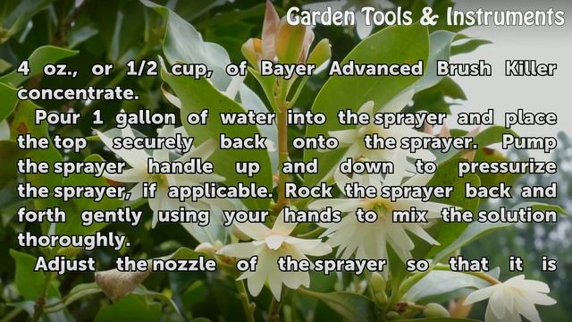 How to Use Bayer Advanced Brush Killer смотреть онлайн